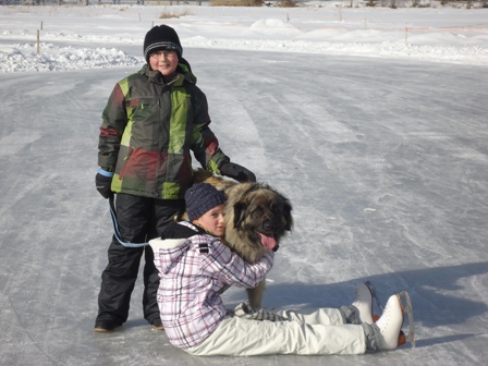 Eisfeld Sihlsee Februar 2014